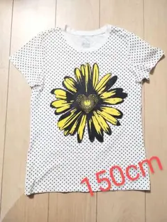 ラメ入りひまわりTシャツ 150cm