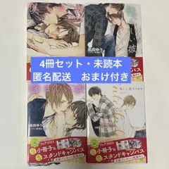 凪良ゆう　美しい彼 4冊セット おまけ付き