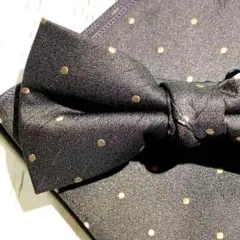 Item thumbnail for item 3075f3d8-8764-4d0f-ad43-ae0bd7920f99