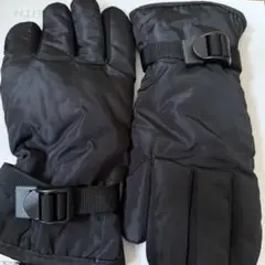 ブラックスキーグローブ