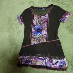 Item thumbnail for item 820130bb-b792-496d-a621-4e339f435fe1