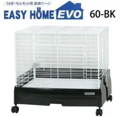 Item thumbnail for item e3c1fd4b-8e64-4b31-b7b4-0452845b0698