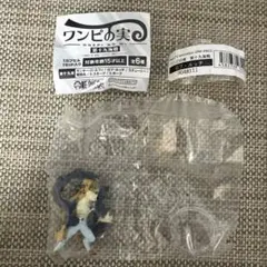未開封　ワンピの実　第十九海戦　ロブ　ルッチ