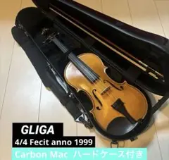 2025年最新】バイオリン GLIGAの人気アイテム - メルカリ