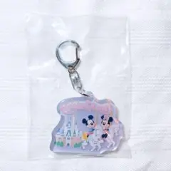 東京ディズニーリゾート　キーチェーン ランダム　ファンタジーランド