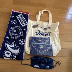 徳島ヴォルティス グッズ まとめセット