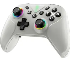 Switch2 コントローラー 6軸ジャイロセンサー搭載 背面ボタン付き
