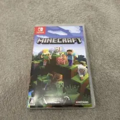 Minecraft Nintendo Switch版