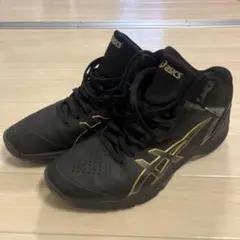 Item thumbnail for item b3885729-04f7-4a02-a99c-b24b35784f4c