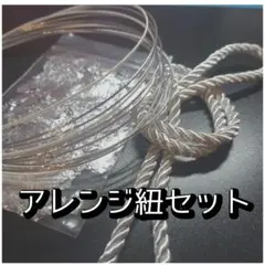 Item thumbnail for item b5ce2513-987b-40ff-bb87-780f65a84326