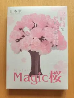 Magic桜　12時間で桜が満開に 　日本製