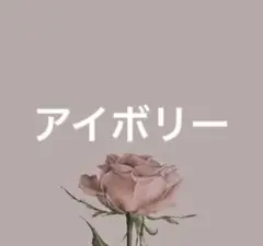 Item thumbnail for item 5448948d-ae5c-4fc2-94eb-081d38c6a91a