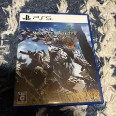 Monster hunter wilds モンスターハンター　ワイルズ