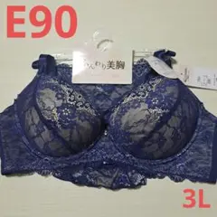 新品未使用 E90 3L ブラジャー ショーツ ネイビー 大きいサイズ