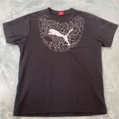 PUMA Tシャツ