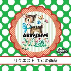 Akinyan様 リクエスト 4点 まとめ商品
