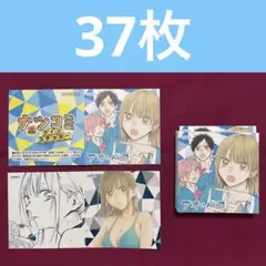 アオのハコ ナツコミ 2025 ツインステッカー 37枚セット