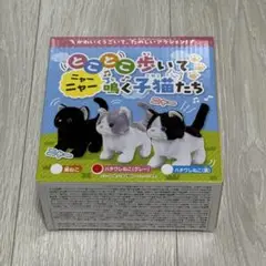 とことこ歩いてニャーニャー鳴く子猫たち