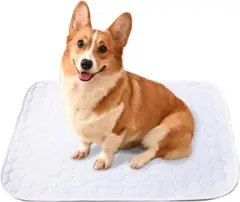 Item thumbnail for item 073d7557-fcdd-415e-aa3d-9723db74fb3d