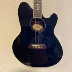 2025年最新】IBANEZ TALMANの人気アイテム - メルカリ