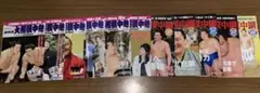 大相撲 雑誌 各種 30冊セット!