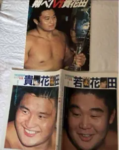 翔べV 1貴花田、サンデー毎日創刊70周年記念アルバム『若・貴』　２冊セット