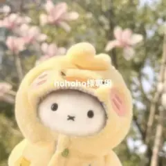 hohoho様專用