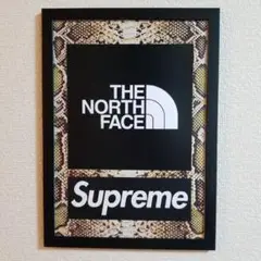 SUPREME ノースフェイス アートポスター(パロディー)