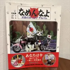 なめんなよ 又吉のかっとびアルバム Amazon.com: なめんなよ 又吉のかっとびアルバム(写真集) (立東