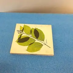歩行者優先