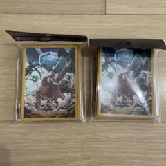 ポケモンカードゲーム　ディンルー　デッキシールド×2