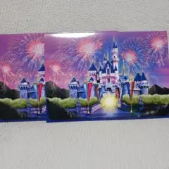 香港ディズニーランド フォルダー 2枚セット