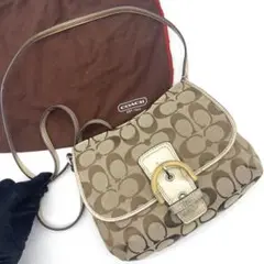 最終値下げ 極美品✨COACH ショルダーバッグ ホーボー型 ゴールド レザー