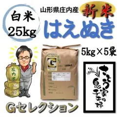 新米 山形県庄内産 はえぬき 白米25kg Gセレクション