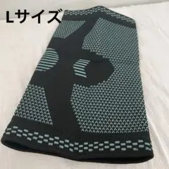 Item thumbnail for item f559b69e-9d4d-442e-aea2-92df2dc4b5a7