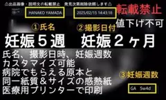 日付名入れ加工可能　感熱紙エコー写真　妊娠5週　妊娠2ヶ月　 値下不可