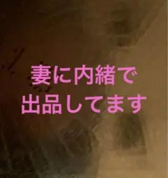 ミニ四駆 引退品