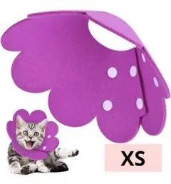 Item thumbnail for item fbfaef07-6f67-4d72-b646-8e2f7483f9d2