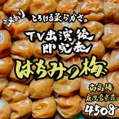 除草剤不使用◎農園栽培 南高はちみつ梅干し 450g 肉厚 漬物◎b