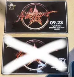 【値下】B'z 2023 stars メモリアルプレート