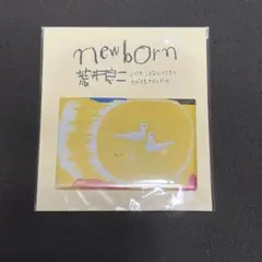 荒井良二　マグネット　　はっぴぃさん　arai ryoji