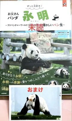 お父さんパンダ 永明 写真集【アドベンチャーワールド限定アクスタ付き】ラスト1冊 2025年最新】永明さんの人気アイテム - メルカリ