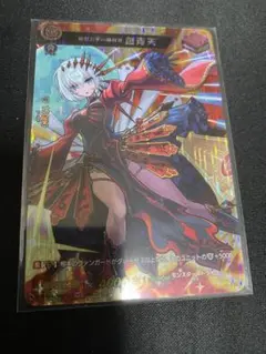 ヴァンガード モンスト 絶対公平の裁判官 包青天 MSR