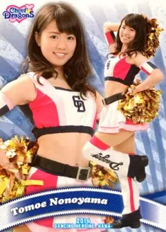 Item thumbnail for item 76578f2b-0255-429a-995d-78f10c39f099