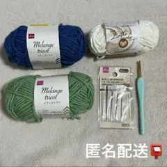 【匿名配送】DAISO 毛糸 メランジトリコ ラテモール かぎ針 とじ針