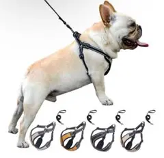 Item thumbnail for item 5d6de153-4682-4f32-94f6-caa367fee869