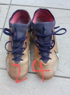 Item thumbnail for item 4ce04195-5a28-406c-9702-57522171cc01