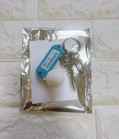 Item thumbnail for item 6d280180-2a7a-4e3f-89dd-16b6f03ff6a3