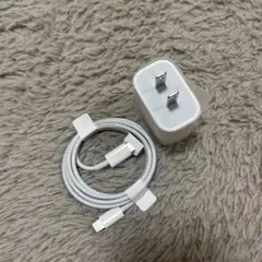 Apple 20W USB-C充電アダプター　ケーブル付　【急速充電】