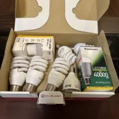 電球つめあわせ　8個